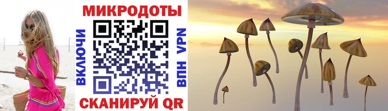 Купить  Пенза  Псилоцибиновые грибы мицелий 